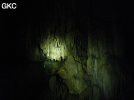 Grotte de Miaodong 苗洞 (Tangbian 塘边, Pingtang 平塘, Qiannan 黔南, Guizhou 贵州省, Chine)