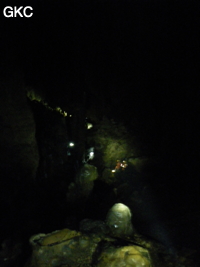 Grotte de Miaodong 苗洞 (Tangbian 塘边, Pingtang 平塘, Qiannan 黔南, Guizhou 贵州省, Chine)