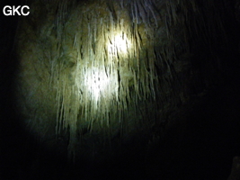 Grotte de Miaodong 苗洞 (Tangbian 塘边, Pingtang 平塘, Qiannan 黔南, Guizhou 贵州省, Chine)