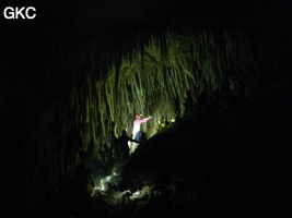 Grotte de Miaodong 苗洞 (Tangbian 塘边, Pingtang 平塘, Qiannan 黔南, Guizhou 贵州省, Chine)