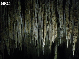 Grotte de Miaodong 苗洞 (Tangbian 塘边, Pingtang 平塘, Qiannan 黔南, Guizhou 贵州省, Chine)