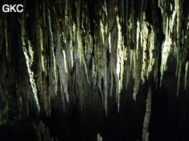 Grotte de Miaodong 苗洞 (Tangbian 塘边, Pingtang 平塘, Qiannan 黔南, Guizhou 贵州省, Chine)