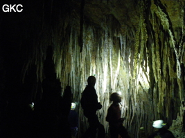 Grotte de Miaodong 苗洞 (Tangbian 塘边, Pingtang 平塘, Qiannan 黔南, Guizhou 贵州省, Chine)