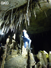 Grotte de Miaodong 苗洞 (Tangbian 塘边, Pingtang 平塘, Qiannan 黔南, Guizhou 贵州省, Chine)