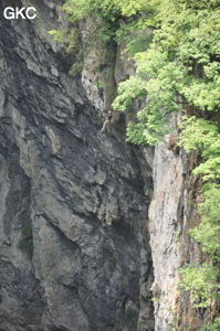 Baidongtiankeng