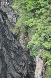 Baidongtiankeng