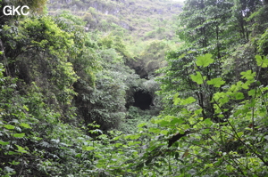 Grotte de Pusadong 菩萨洞. (Pingtang 平塘, Qiannan 黔南, Guizhou 贵州省, Chine 中国)