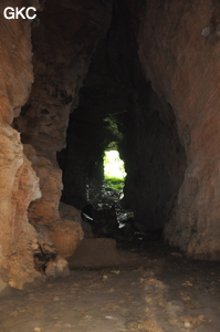 Grotte de Pusadong 菩萨洞. (Pingtang 平塘, Qiannan 黔南, Guizhou 贵州省, Chine 中国)