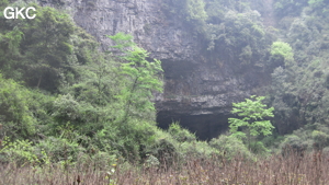 Longtanzishuidong