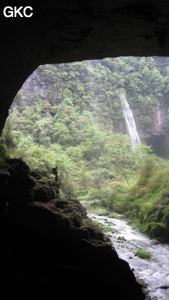 Longtanzishuidong