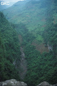 Le profond canyon de la rivière qui se perd à Yanfengdong, vu du sommet du porche ! (Shizong, Yunnan)