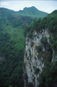 Falaise qui domine le profond canyon de la rivière qui se perd à Yanfengdong, vu du sommet du porche ! (Shizong, Yunnan)