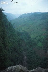 Le profond canyon de la rivière qui se perd à Yanfengdong, vu du sommet du porche ! (Shizong, Yunnan)