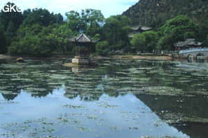 Située au pied de la colline aux éléphant la résurgence (impénétrable) de Heilongtan débite ses 600 l/s d'eau claire. (Lijiang Yunnan)