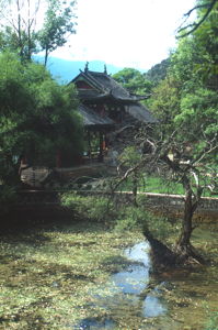 Située au pied de la colline aux éléphant la résurgence (impénétrable) de Heilongtan débite ses 600 l/s d'eau claire. (Lijiang Yunnan)