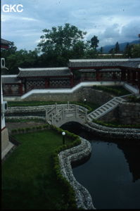 Jardin de notre hôtel tout prêt des trois Pagodes du temple de l'Admiration pour la Divinité (Chong Sheng Si,重聖寺). (Dali 大理, Yunnan)