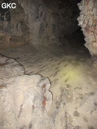 Laoxiaodong