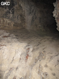 Laoxiaodong