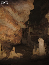 Stalagmites dans la Grotte de Dafengdong 大风洞 - réseau de Shuanghedongqun 双河洞 - (Suiyang 绥阳,  Zunyi Shi 遵义市, Guizhou 贵州省)