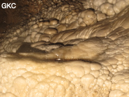Coulée de calcite active dans la Grotte de Dafengdong 大风洞 - réseau de Shuanghedongqun 双河洞 - (Suiyang 绥阳,  Zunyi Shi 遵义市, Guizhou 贵州省)