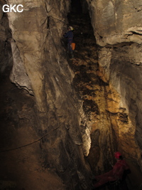 Shanwangdong
