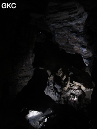 Grotte de Shanwangdong 山王洞 - réseau de Shuanghedongqun 双河洞 - (Suiyang 绥阳, Zunyi Shi 遵义市, Guizhou 贵州省, Chine 中国)