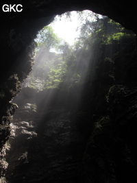 Qicaidong