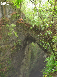 Pont naturel au dessus du puits d'entrée de 175 m de la grotte de Yanwangdong (Grotte du roi des fantômes) 阎王洞 (Guizhou 贵州省, Qiannan 黔南, Pingtang 平塘).