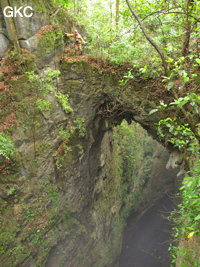 Pont naturel au dessus du puits d'entrée de 175 m de la grotte de Yanwangdong (Grotte du roi des fantômes) 阎王洞 (Guizhou 贵州省, Qiannan 黔南, Pingtang 平塘).