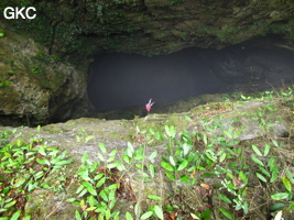 Descente du puits d'entrée de 175 m de la grotte de Yanwangdong (Grotte du roi des fantômes) 阎王洞 (Guizhou 贵州省, Qiannan 黔南, Pingtang 平塘).