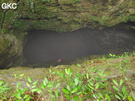 Descente du puits d'entrée de 175 m de la grotte de Yanwangdong (Grotte du roi des fantômes) 阎王洞 (Guizhou 贵州省, Qiannan 黔南, Pingtang 平塘).