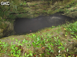 Descente du puits d'entrée de 175 m de la grotte de Yanwangdong (Grotte du roi des fantômes) 阎王洞 (Guizhou 贵州省, Qiannan 黔南, Pingtang 平塘).