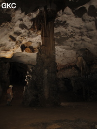 Colonne dans la grotte de Shuidong 水洞  (Qiannan 黔南, Pingtang 平塘, Guizhou 贵州省, Chine).