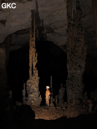 Stalagmites et colonnes dans la grotte de Shuidong 水洞  (Qiannan 黔南, Pingtang 平塘, Guizhou 贵州省, Chine).