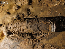 Stalagmite brisée et empreinte d'impact de chute dans le sol argileux de la grotte de Shuidong 水洞 (Qiannan 黔南, Pingtang 平塘, Guizhou 贵州省, Chine).