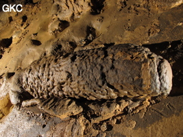 Stalagmite brisée et empreinte d'impact de chute dans le sol argileux de la grotte de Shuidong 水洞 (Qiannan 黔南, Pingtang 平塘, Guizhou 贵州省, Chine).