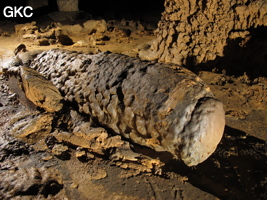 Stalagmite brisée et empreinte d'impact de chute dans le sol argileux de la grotte de Shuidong 水洞 (Qiannan 黔南, Pingtang 平塘, Guizhou 贵州省, Chine).