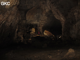 Galerie dans la grotte de Shuidong 水洞 (Qiannan 黔南, Pingtang 平塘, Guizhou 贵州省, Chine).