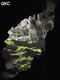 A contre-jour la galerie de l'entrée supérieure de la grotte de Shuidong 水洞  (Qiannan 黔南, Pingtang 平塘, Guizhou 贵州省, Chine).