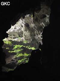 A contre-jour la galerie de l'entrée supérieure de la grotte de Shuidong 水洞  (Qiannan 黔南, Pingtang 平塘, Guizhou 贵州省, Chine).