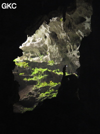 A contre-jour la galerie de l'entrée supérieure de la grotte de Shuidong 水洞  (Qiannan 黔南, Pingtang 平塘, Guizhou 贵州省, Chine).