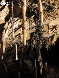 Zhakoudong