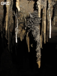 Zhakoudong
