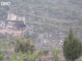 L'entrée sud-est de la grotte-tunnel de Chuandong - 穿洞, (Guizhou 贵州省, Qiannan 黔南, Pingtang 平塘).