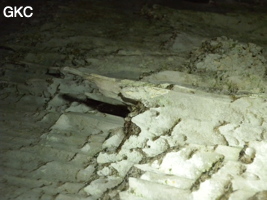 Remarquables aiguilles phytokarstiques dans la galerie d'entrée sud-est de la grotte tunnel de Chuandong - 穿洞, avec son réservoir d'eau (Guizhou 贵州省, Qiannan 黔南, Pingtang 平塘).