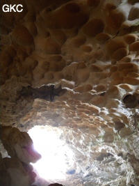 Coupoles de plafond dans la galerie d'entrée sud-est de la grotte-tunnel de Chuandong - 穿洞 (Guizhou 贵州省, Qiannan 黔南, Pingtang 平塘).