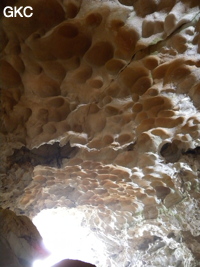 Coupoles de plafond dans la galerie d'entrée sud-est de la grotte-tunnel de Chuandong - 穿洞 (Guizhou 贵州省, Qiannan 黔南, Pingtang 平塘).