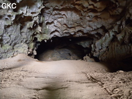Coupoles de plafond dans la galerie d'entrée sud-est de la grotte-tunnel de Chuandong - 穿洞 (Guizhou 贵州省, Qiannan 黔南, Pingtang 平塘).