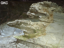 Remarquables aiguilles phytokarstiques (> 20 cm) dans la galerie d'entrée sud-est de la grotte tunnel de Chuandong - 穿洞, avec son réservoir d'eau (Guizhou 贵州省, Qiannan 黔南, Pingtang 平塘).