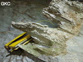 Remarquables aiguilles phytokarstiques (> 20 cm) dans la galerie d'entrée sud-est de la grotte tunnel de Chuandong - 穿洞, avec son réservoir d'eau (Guizhou 贵州省, Qiannan 黔南, Pingtang 平塘).